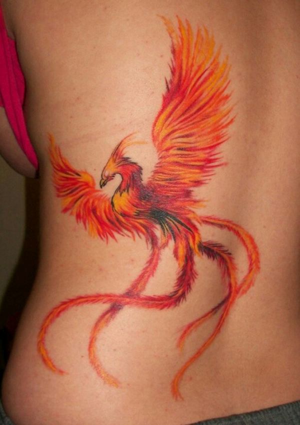 Phoenix tattoo 1